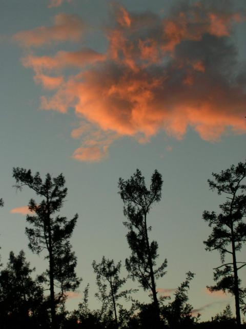 Облако на закате
